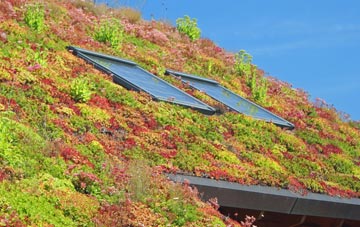 Bunsley Bank living roof systems